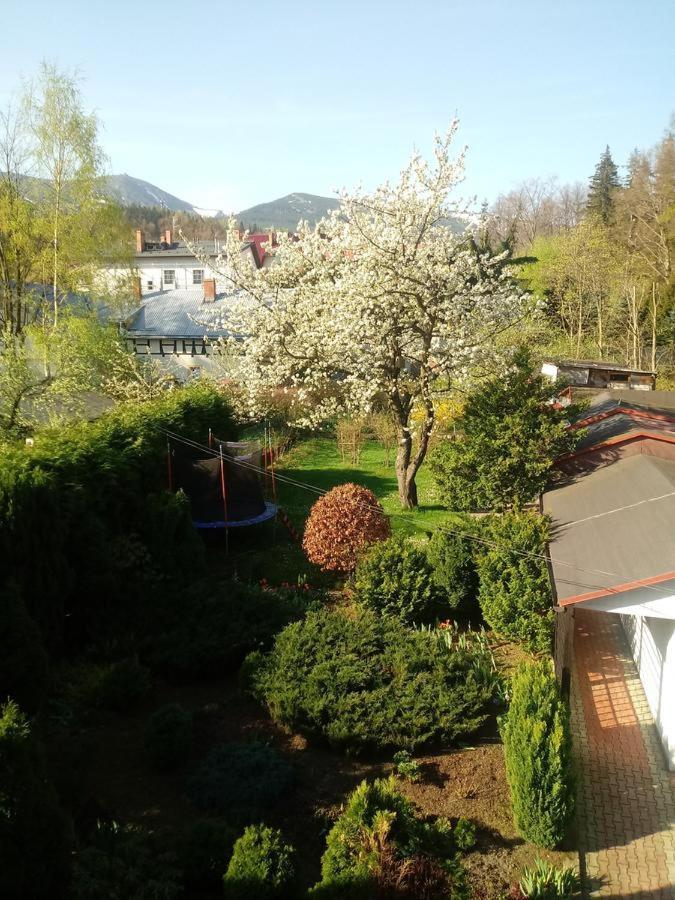 Apartamentvanessa *